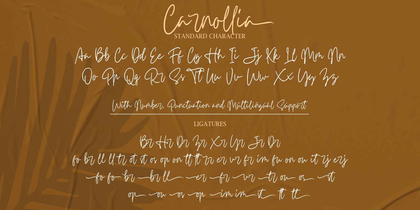 Пример шрифта Carnollia Signature Regular